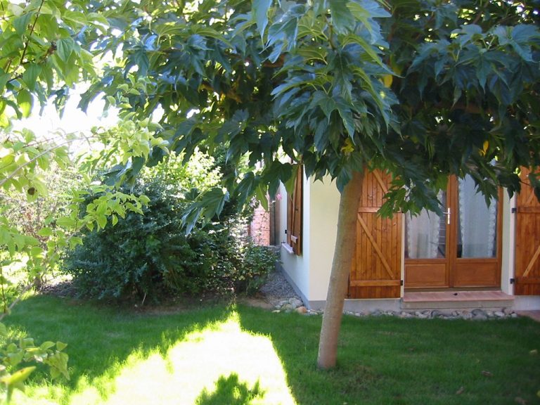 10garten_august3_img-768x576