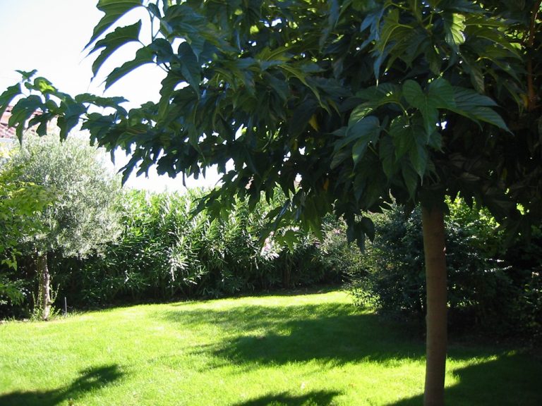 11garten_august_img-768x576